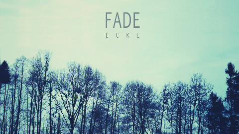 最爱电音《Fade》